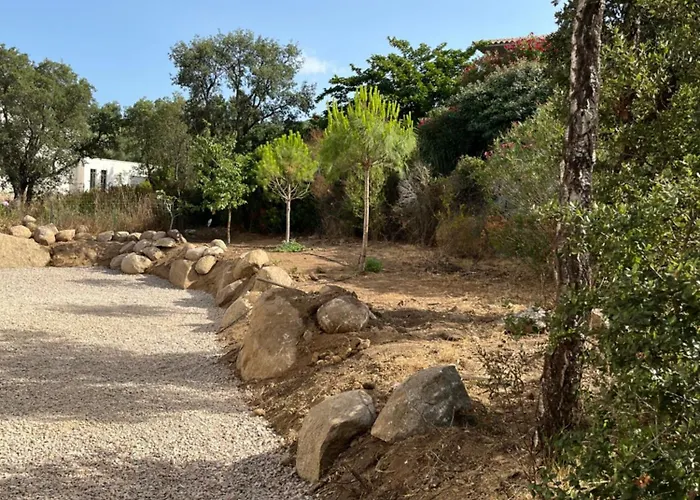 A Cupulata