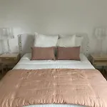 A Cupulata *